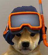 Image result for Dog with Hat Meme Galaxy