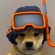 Image result for Doge with Hat Meme 1080