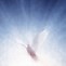 Image result for Holy Spirit Descending Dove