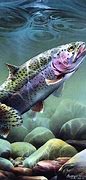 Image result for iPhone 6s Fish Wallpaper