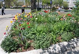 Image result for PST NW Washington DC 20007