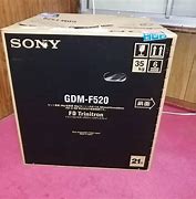 Image result for Sony F520