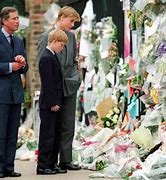 Image result for Diana Funeral William Harry