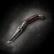Image result for Tanto Pocket Knife