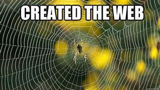 Image result for Spider Web Meme