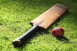 Image result for Cricket Bat Ball