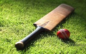 Image result for Cricket Ball Sport Bat