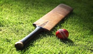 Image result for Cricket Ad Bats