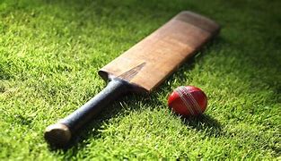Image result for Cricket Bat for Kids to Play Pictures