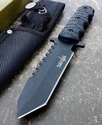 Image result for Best Survival Hip Knife