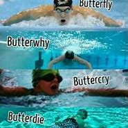 Image result for Butterfly Memes Swimming