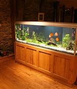 Image result for Bluegill Fish Tank