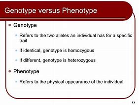 Image result for What Is Homologous and Homozygous