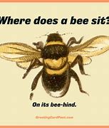 Image result for Fun Bee Meme