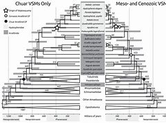 Image result for iPhone 5 6 7 Comparison