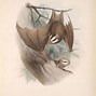 Image result for Scary Halloween Bats Clip Art