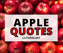 Image result for One Bad Apple Saying