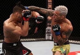 Image result for UFC MMA Fighting