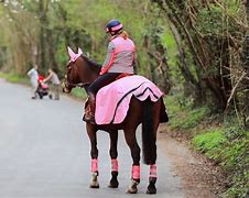 Image result for Horse Hacking