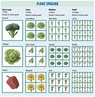 Image result for Intensive Gardening Plant Spacing Chart