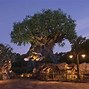 Image result for Disney's Animal Kingdom