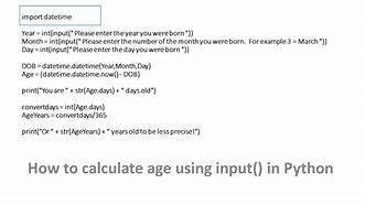 Image result for Age Calculator Python Code
