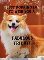 Image result for Friday Work Dog Meme