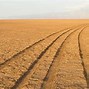 Image result for Africa Desert