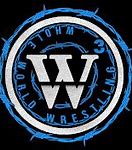 Image result for World Wrestling Federation