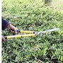 Image result for Weed Trimming Scissors