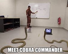 Image result for Cobra Symbol Clit Commander Meme