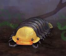 Image result for Isopod Plushie