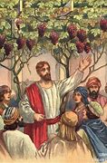 Image result for Jesus Vine and Branches