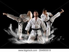 Image result for Martial Arts Dojo Background
