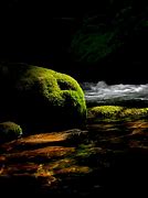 Image result for Rocks with Moss On Them at Night