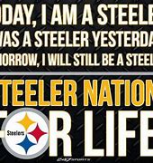 Image result for Steelers Fan Meme