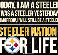 Image result for Steelers Fan Be Like