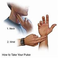 Image result for Taking Your Pulse