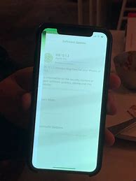 Image result for iPhone XS Max Screen Went Green Then Black