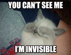 Image result for Invisible See You Meme