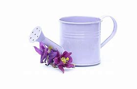 Image result for Watering Can Art