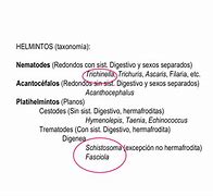 Image result for acantoc�talo