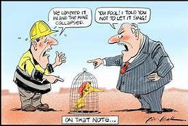 Image result for Funny Australian Cartoons