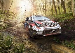 Image result for World Rally Championship