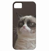 Image result for Stupid Cat iPhone 7 Cases