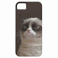 Image result for Funny Cat iPhone Cases