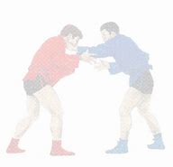Image result for Sambo Martial Art Moves Step By