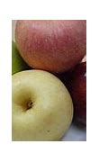 Image result for 4 Apples