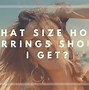 Image result for How Big Is 14Mm Earrings