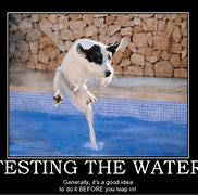 Image result for Testing Water Meme